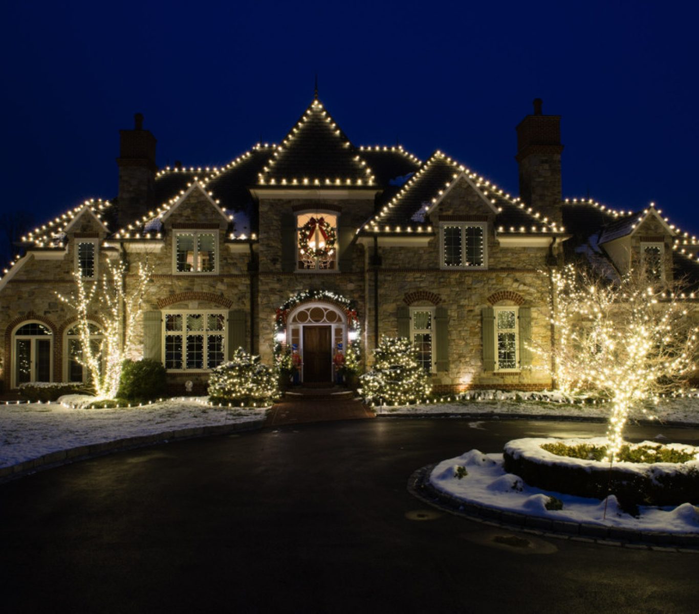Holiday lights wrapped around trees and shrubs with ladder setup nearby