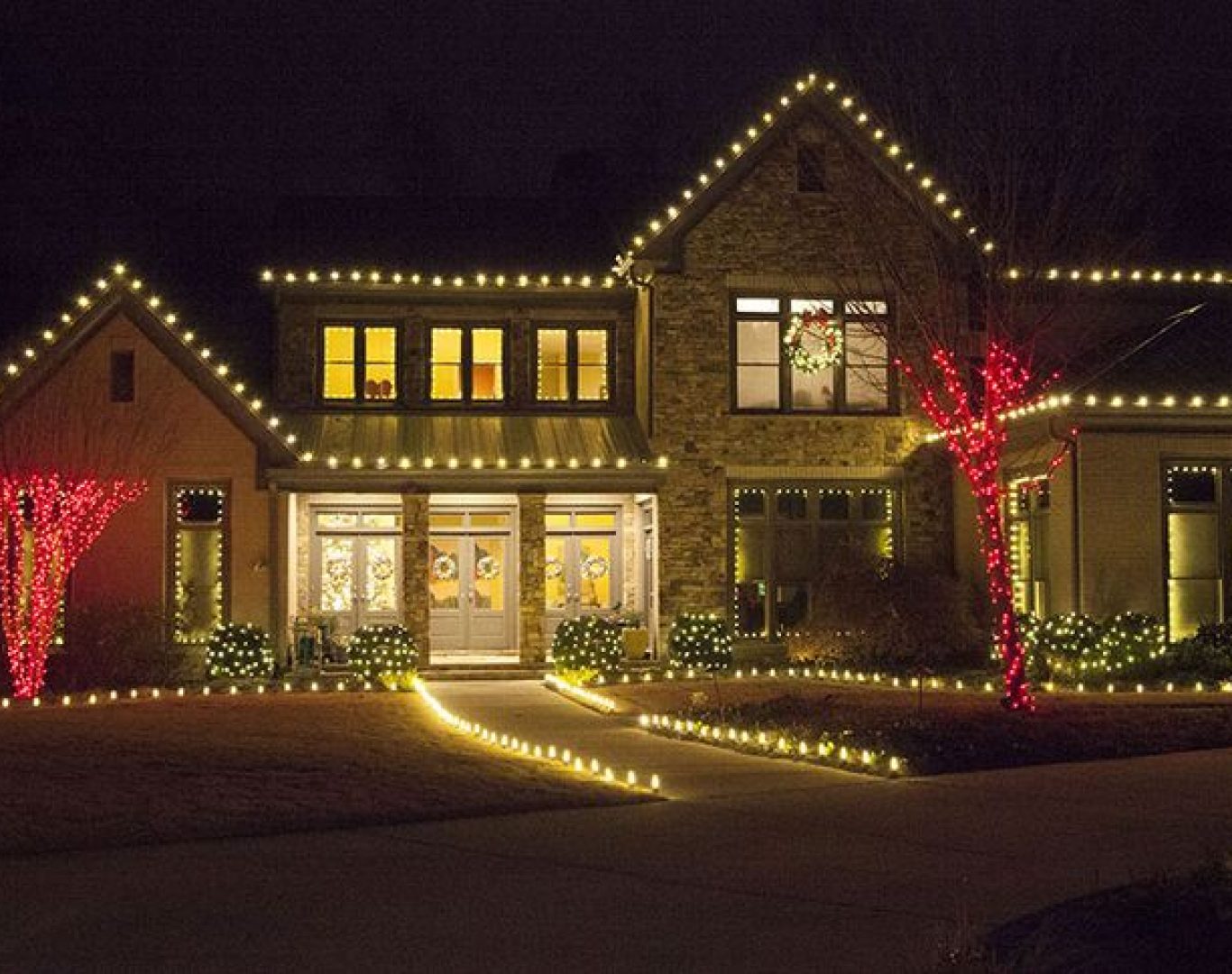 Holiday lights wrapped around trees and shrubs with ladder setup nearby