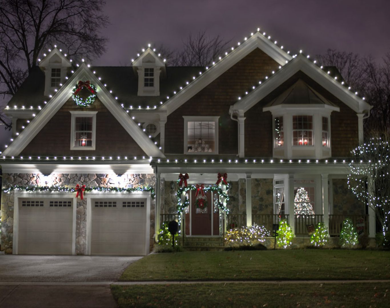 Holiday lights wrapped around trees and shrubs with ladder setup nearby